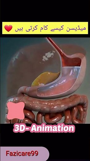 How Drug absorbed in the body | Pharmacokinetics | 3D Animation #doctor