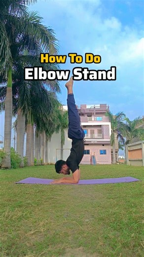 Elbow Stand Tutorial (Pincha Mayur Asana) How to do elbow stand Learn elbow stand Dm for online classes Message whatsapp or instagram WhatsApp -6264154365 #elbowstand #pinchamayurasana #tutorial #yoga #lokesh_fliptofit | Lokesh Ahirwar