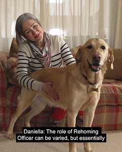 16K views · 458 reactions | Spotlight on  Rehoming Officers Our...