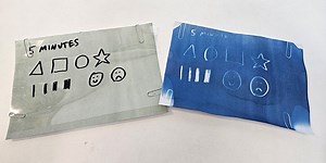 Sun Print Paper | Science Project