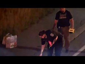 Local 4 News at 11 -- July 7, 2020