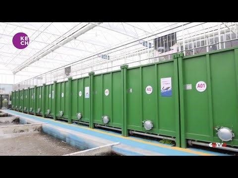 Shipping Containers Transformed into Modern Fish Farm in Eastern Chinese City