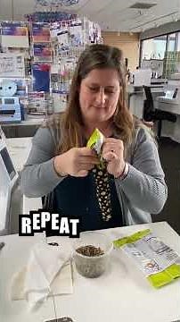 How to Sew an Easy Cat Kicker Toy | DIY Pet Toy Tutorial