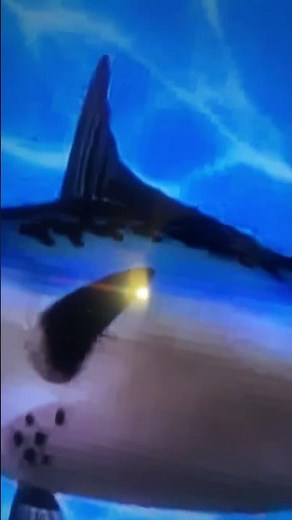 SpongeBob intro fandub aidendish ŷdis kids