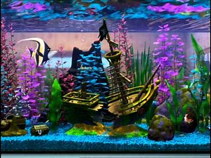 Aquarium from Finding Nemo (LOOP)