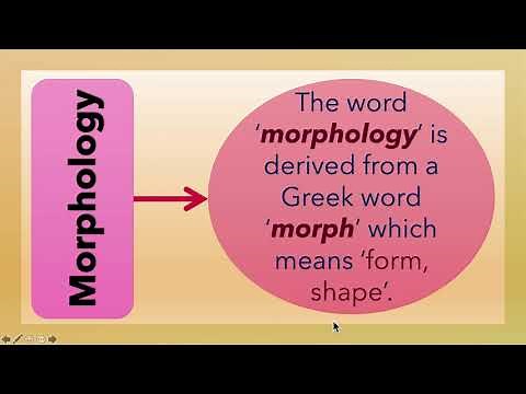 (Lecture-3), What is Morphology? Formation of Words, Structure of Words