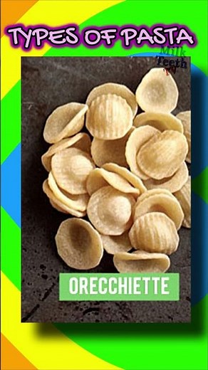 12 Types of Pasta You Need to Know! 🍝 | Pasta Guide