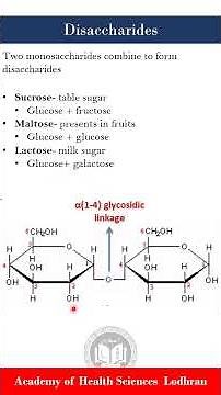 Disaccharides | Biochemistry | by Imran Yaseen