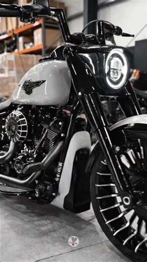 🏁Sleek White & Black Bagger Sound! 💥 Custom Harley-Davidson V-Twin Idle