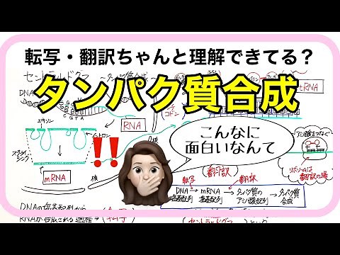 【生物基礎】転写・翻訳（セントラルドグマ）