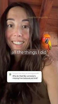 I tried everything to find Foxfire’s owners