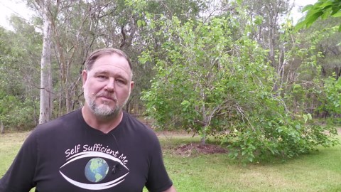 How to MOVE or TRANSPLANT a Fruit Tree