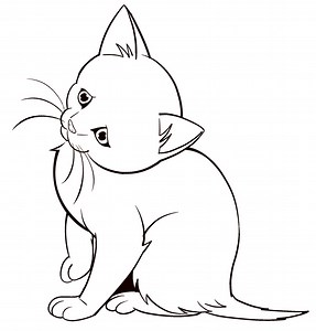 Perfect for Beginners: How to Draw Easy Animals