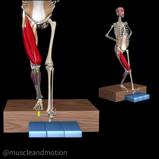 48K views · 725 reactions | TEST ALERT ⚠️ The Forward Step Down...