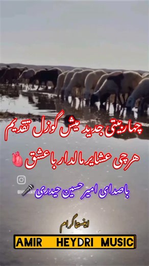 ‎《 امیرحسین حیدری🎤》‎ on Instagram‎: "#اینم چهاربیتی جدید میش گوزل تقدیم مالدار های باعشق خراسان 🥰 #با صدای امیرحسین حیدری 🎤 09154979227 #پنجه شیرین استاد علی ابراهیمی #چهاربیتی #استاد غلامحسین غفاری #استاد_شجریان_اسطوره_آواز_ایران #استادناصریعقوبی #استادعلی اسدیان #امیرحسین حیدری #اینستا #اکسپلورر #ازاکسپلورمیبینی_فالوو_لایک_یادت_نره_مرسی😉💟😍😘🙏 #اکسپلوررفت_خبرکنید♥️🧿"‎