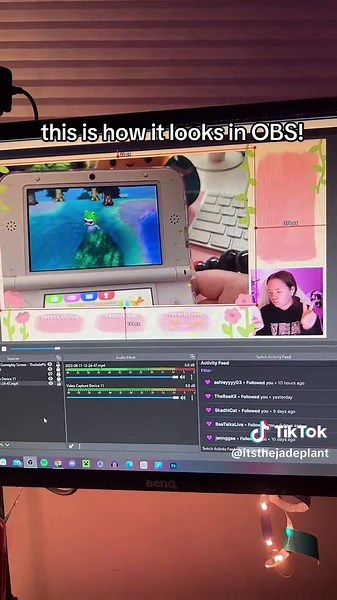 Free Stream Overlay Creation in Procreate Tutorial