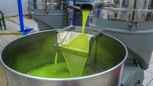 Discover How Olive Oil Is Made: The Organic Journey from Olive to Bottle