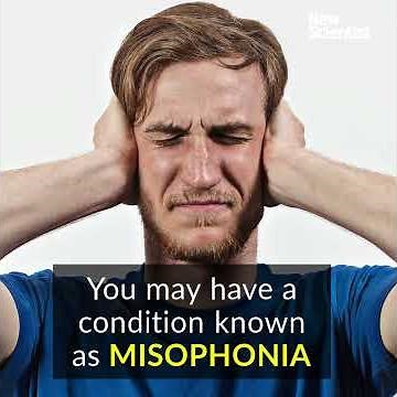 Why the sound of noisy eating fills some people with rage