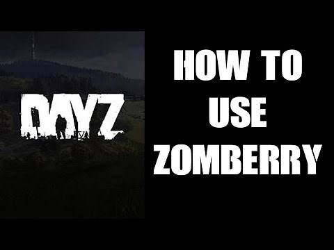 Beginners Guide Introduction: How To Use Zomberry Admin Tools On Your DayZ Server, Menus & Commands