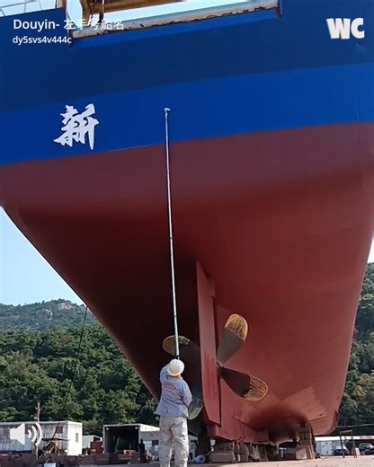 The Science and Creativity of Ship Naming 🚢🫨 | Watercooler