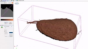Micro-CT 3D Visualization Software | Micro Photonics