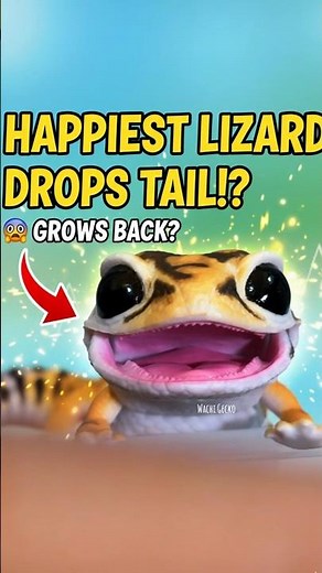 The Happiest Lizard on Earth 😍 Leopard Gecko #shorts