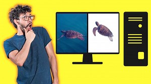 How to Quickly Remove the Background of a Video in Canva