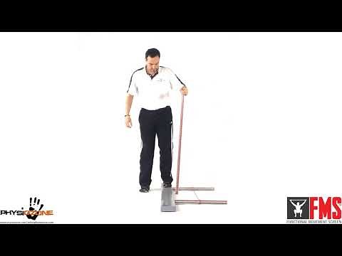 Functional Movement Screen - 3. Inline Lunge