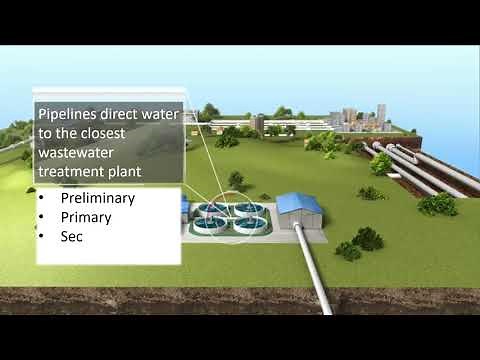 Wastewater treatment basics - How does wastewater treatment work?