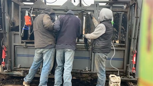 We’ve been busy the last couple days freeze branding the bred heifers that we will be retaining. It’s a process to get this done. Lots of preparation in finding supplies and then the time it takes to do them. The results are definitely worth it! We had a great crew! Our non Facebook participating son Cole Sorenson, Tavin Hampshire, and Senior Cole Cook! | Powder River Angus
