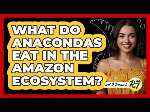 What Do Anacondas Eat In The Amazon Ecosystem?