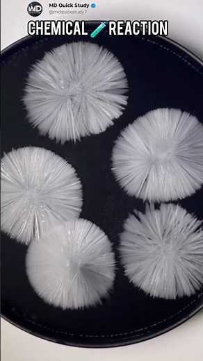 Magic✨of Sodium Acetate Chemical Reaction With Water | CH3COONA #sodiumacetate #ch3coona