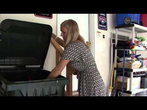 How to Prevent and Treat Cockroach Infestations