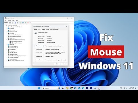 How to Fix USB or Wireless Mouse Not Working in Windows 11