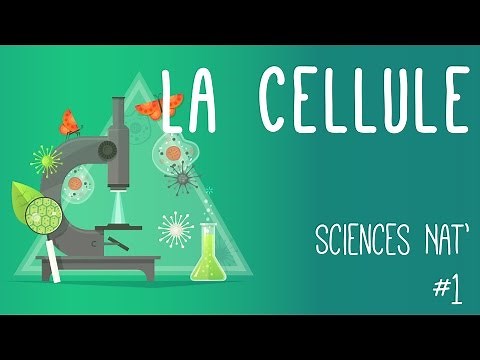 Tout savoir sur la cellule en 6 minutes !