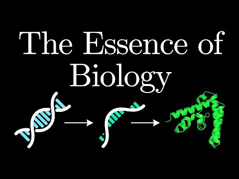 The Most Important Concept in Biology (Chapter 1)