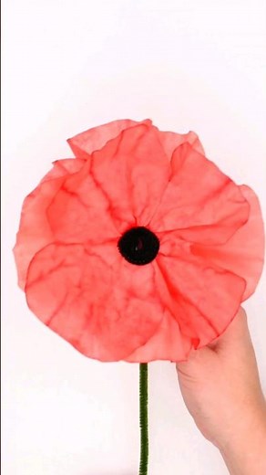 Coffee Filter Poppies