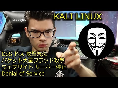 【KALI LINUX】 DoS DDoS攻撃でサイトをオフラインにする方法 サービス停止 ハッキング ハッカー 大量パケット サイバーセキュリティ Denial of Service IT 日本語