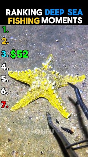 Ranking deep sea fishing moments | catching fishes underwaterfishing part-44 #deepseafishing