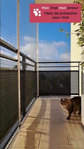 Filet de protection anti-chute pour chat SANS percer, AVEC filet qui se replie ! 🐾🐱👍