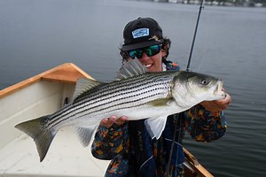 5 Striped Bass Baitfish Fly Patterns to Stock Up On - Flylords Mag