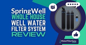 SpringWell WS Whole House Well Water Filter System Review