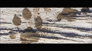 Bienvenido a explora