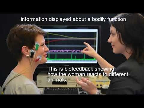 biofeedback meaning