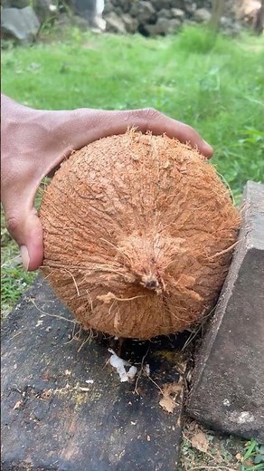 Amazing skill of removing a round coconut from its shell