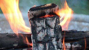 Fire, Log, Flames. Free Stock Video