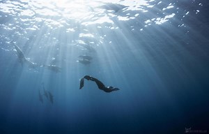 8 Tips for Beginner Freedivers