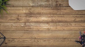 What is a Project Plan?