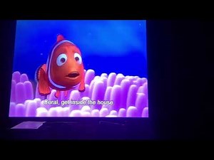 Finding Nemo Opening Scene