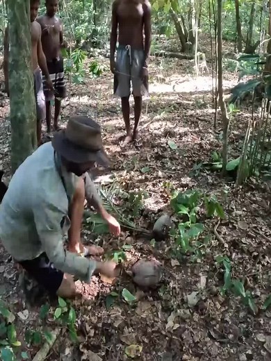 #bushcraft #camping #outdoor #nature #outdoorsman